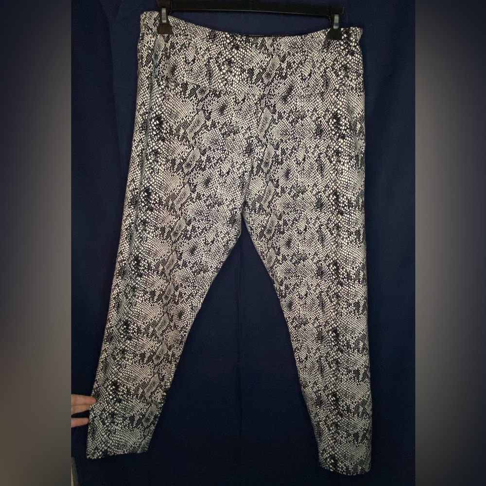 Casablanca by Marrakech Clothing Co. - Women’s Black/White Snake Print Legging